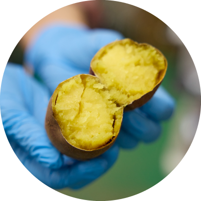 お芋屋さんのお店 サンパタータ 