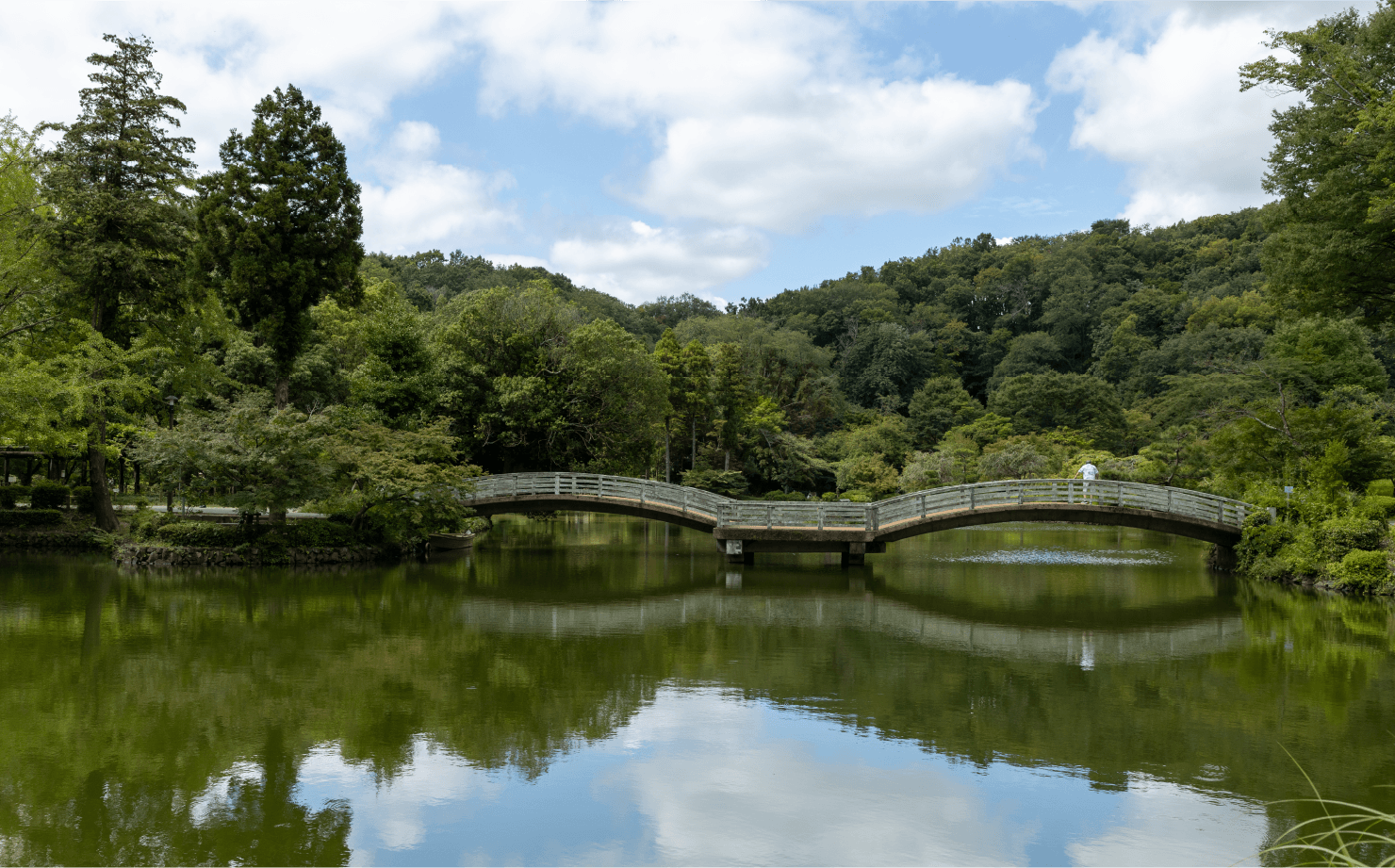 町田薬師池公園 四季彩の杜