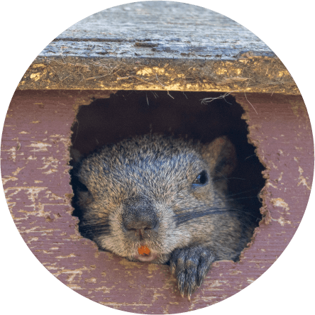 町田薬師池公園 四季彩の杜