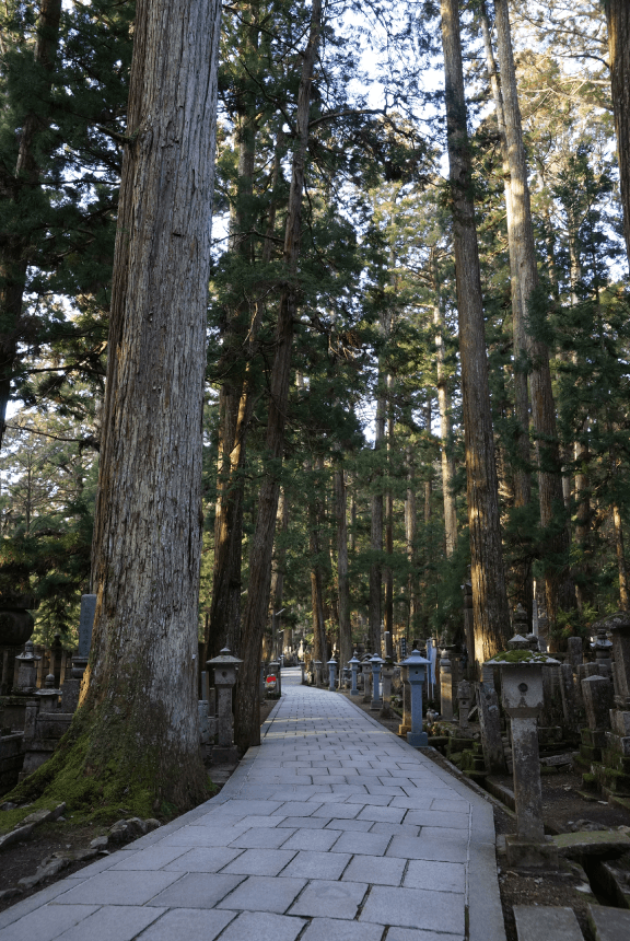 高野山真言宗総本山金剛峯寺