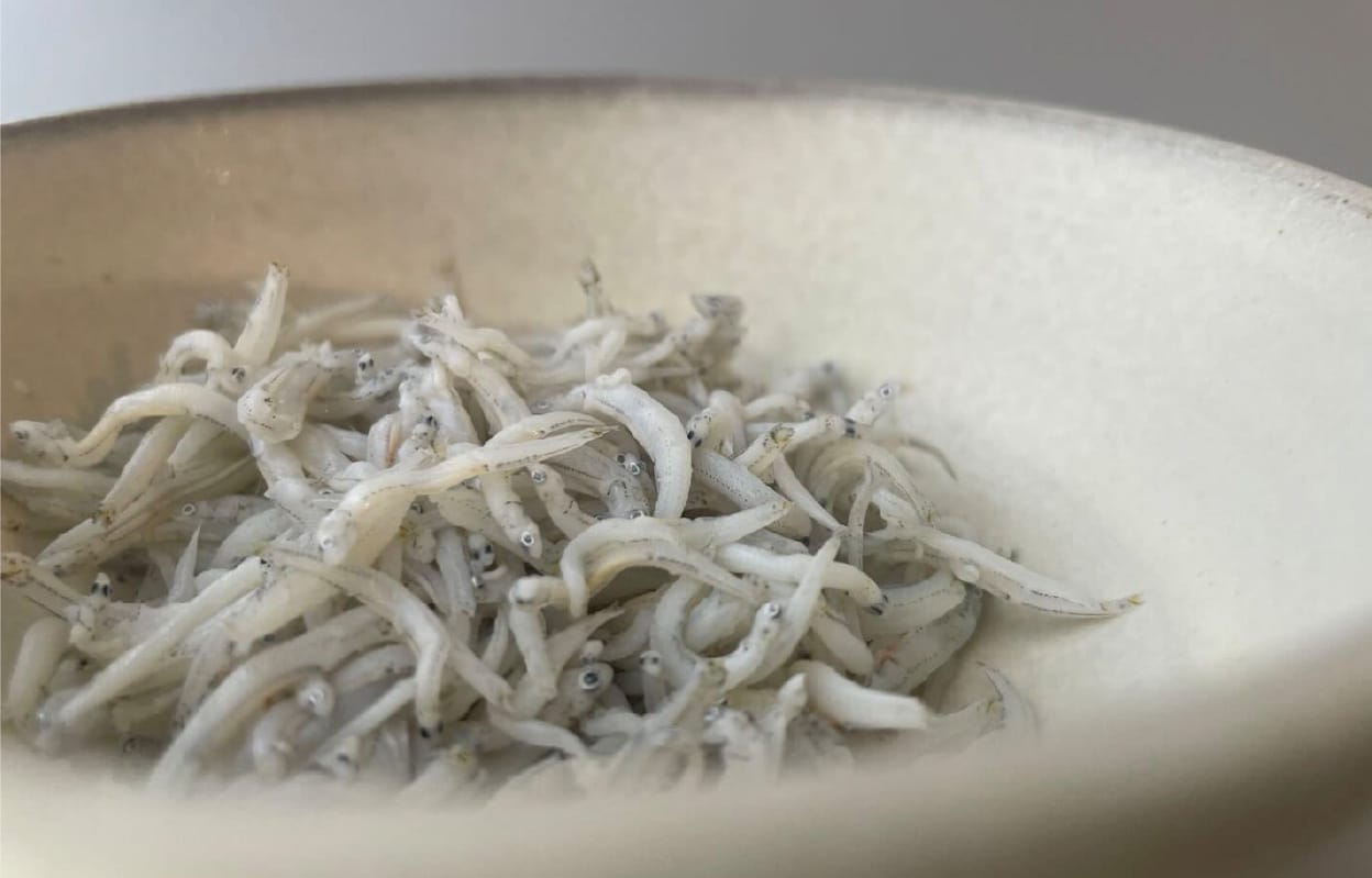 湯浅の醤油と相性抜群！