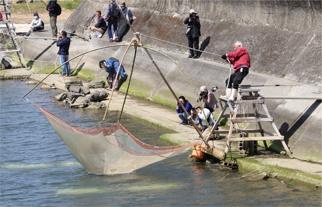 3月中旬～下旬 紀州湯浅のシロウオまつり