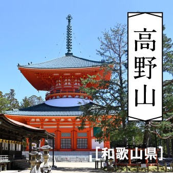 エリアフィーチャー