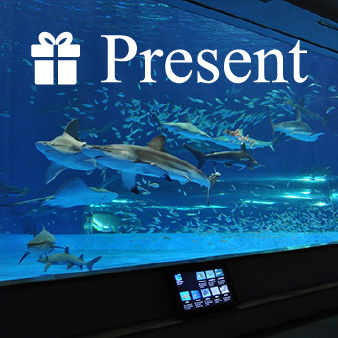 読者プレゼント