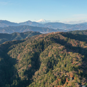 エリアフィーチャー 八王子市・町田市 ［東京都］