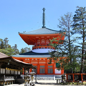 エリアフィーチャー 高野山 ［和歌山県］