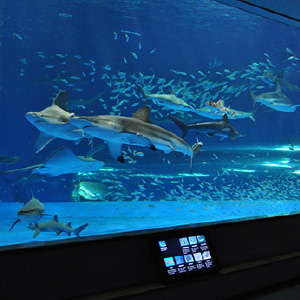 読者プレゼント