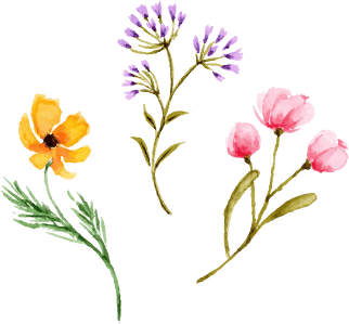 牧歌的で上品なインテリアで優雅なひと時へ