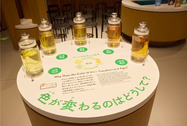 流山市白みりんミュージアム