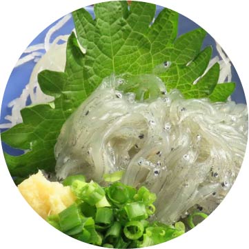 グルメイメージ