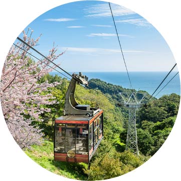 観光情報イメージ