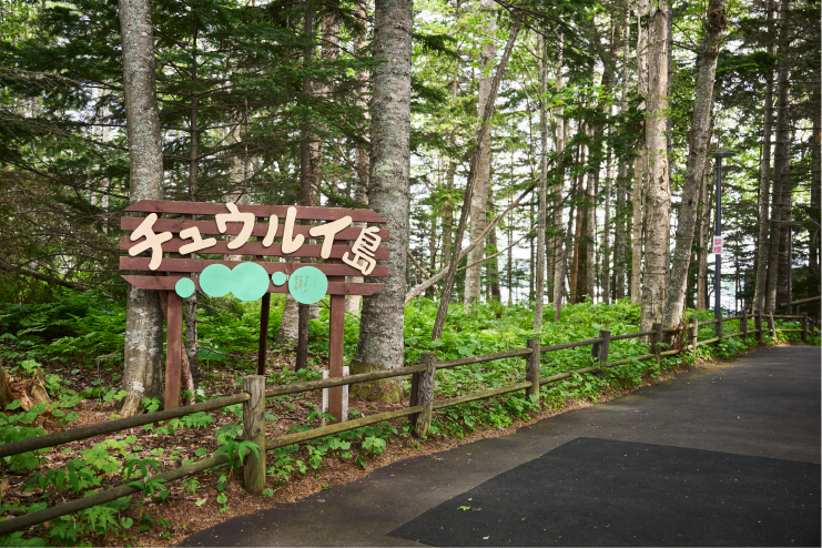 チュウルイ島・マリモ展示観察センターで 特別天然記念物のマリモを観察