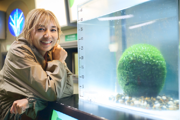 マリモ展示観察センター