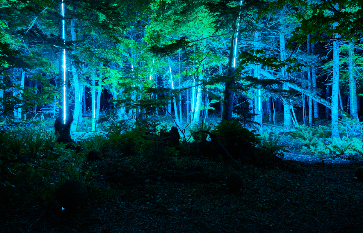 神秘的なカムイの世界へ KAMUY LUMINAで 阿寒の森をナイトウォーク