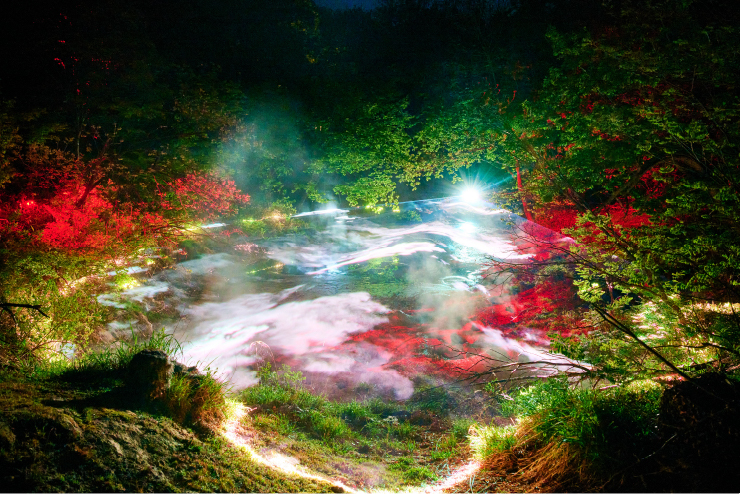 阿寒湖の森ナイトウォーク