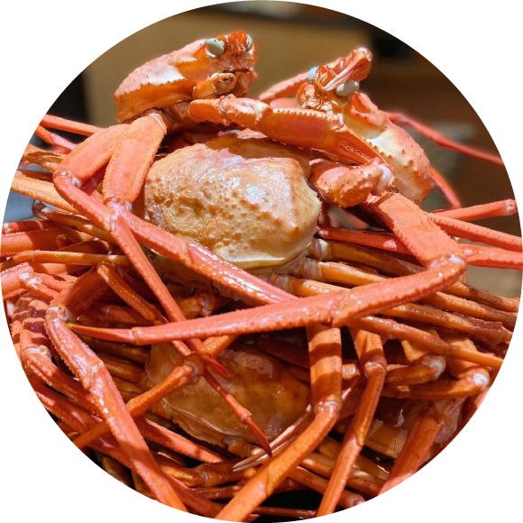 境港では唯一という地元の紅ズワイガニ食べ放題60分（時価、5,000円〜）。思いっきりカニを楽しもう