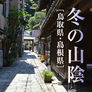 エリアフィーチャー