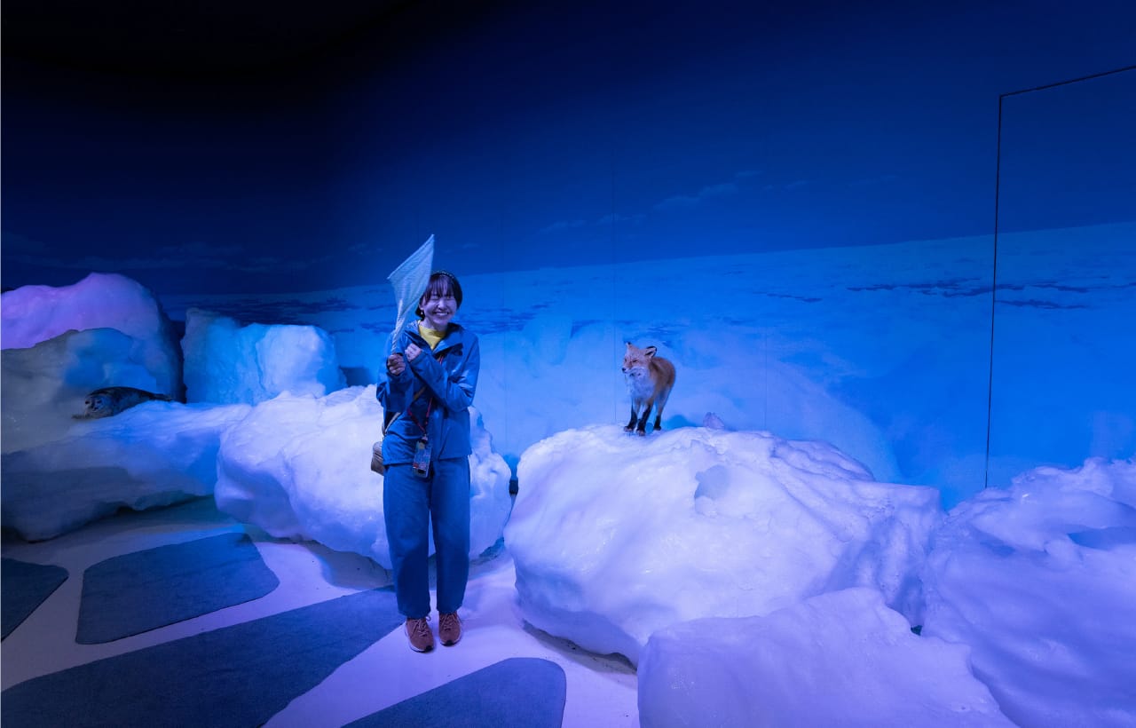 知床を深く知るならオホーツク流氷館へ