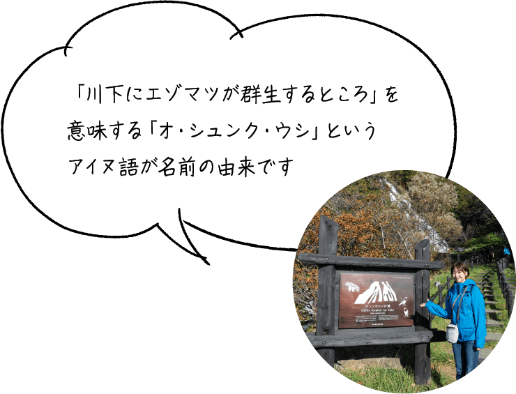 「川下にエゾマツが群生するところ」を意味する「オ・シュンク・ウシ」というアイヌ語が名前の由来です
