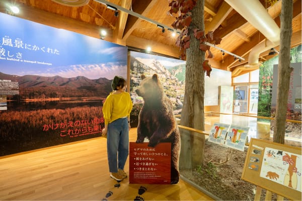 知床世界遺産センター