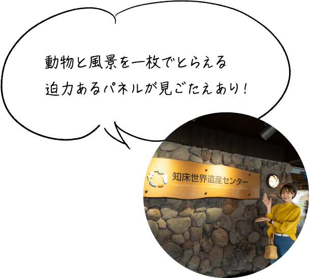 動物と風景を一枚でとらえる迫力あるパネルが見ごたえあり！ 