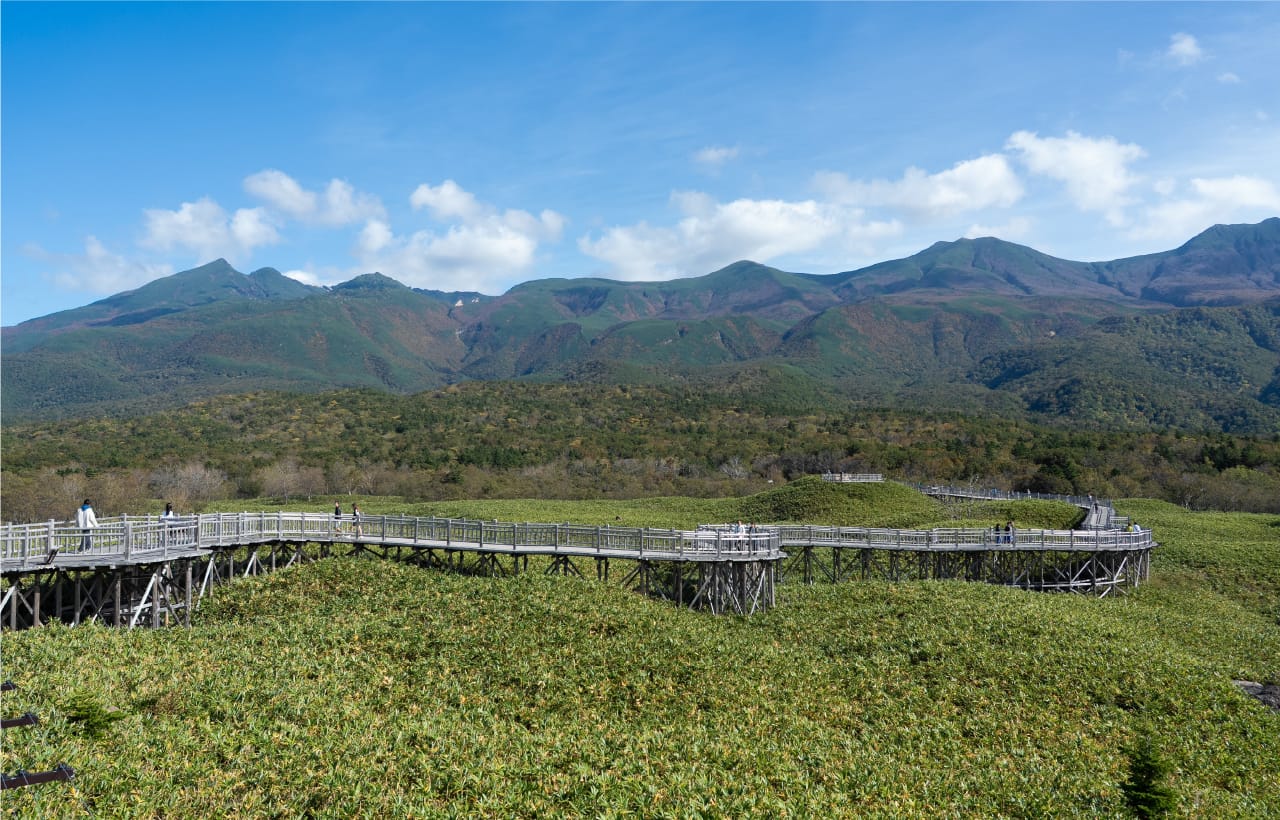 原生林のなかで深呼吸知床五湖を散策