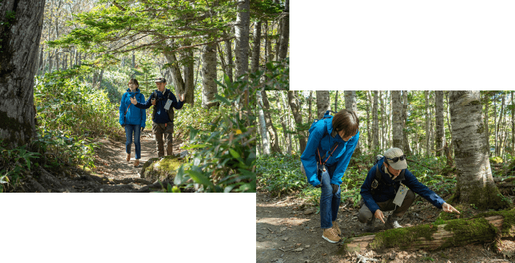 「高架木道」と「地上遊歩道」