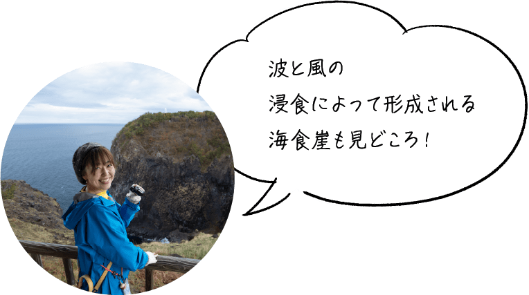 波と風の浸食によって形成される海食崖も見どころ！