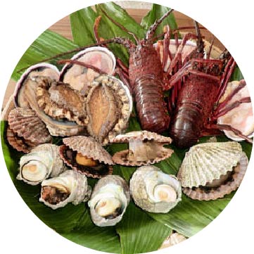 グルメイメージ