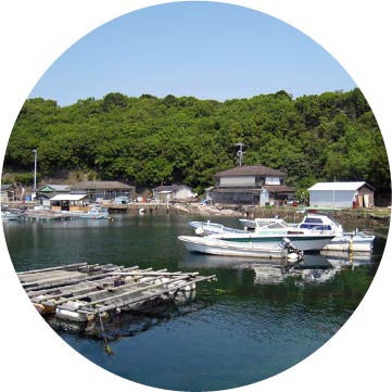 観光情報イメージ