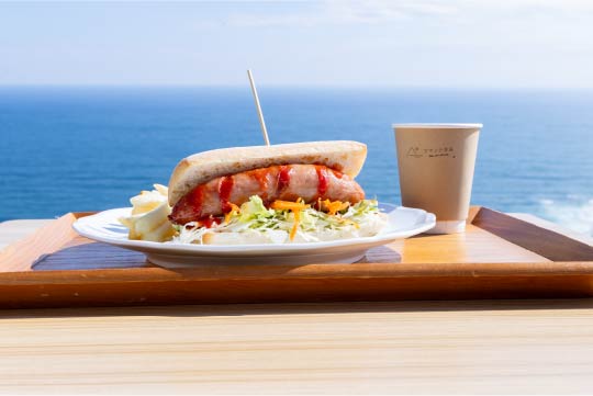 鳥羽展望台  海女のテラス