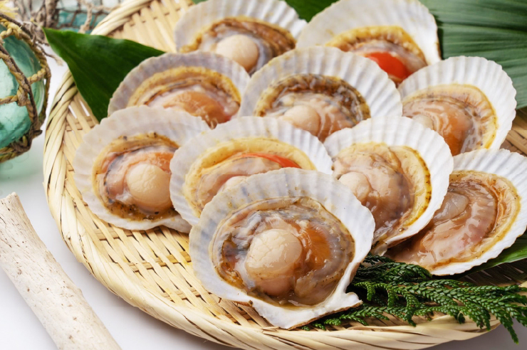 噴火湾湾口ホタテ