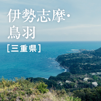 エリアフィーチャー