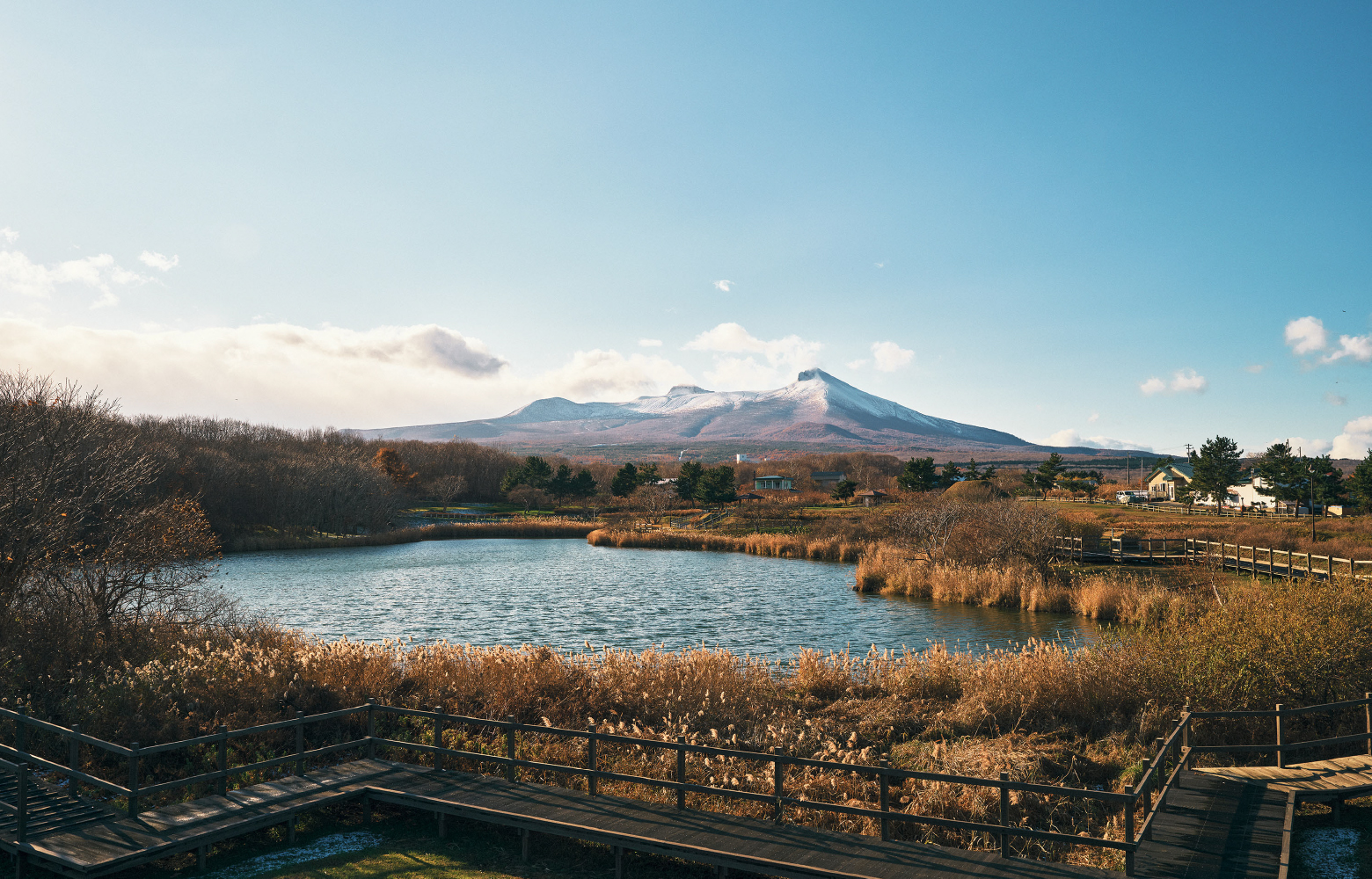 公園内にはバーベキュースポット（無料）やピクニックができる芝生の広場も