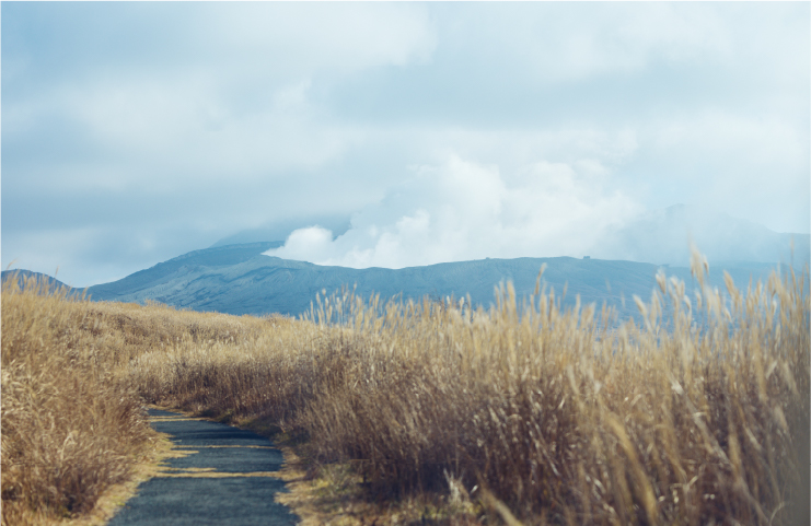30分の見晴らしの丘コースは阿蘇山全体と中岳火口前の裾野も一望できる