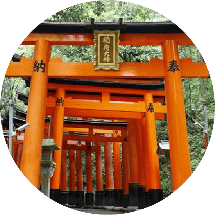 観光情報イメージ