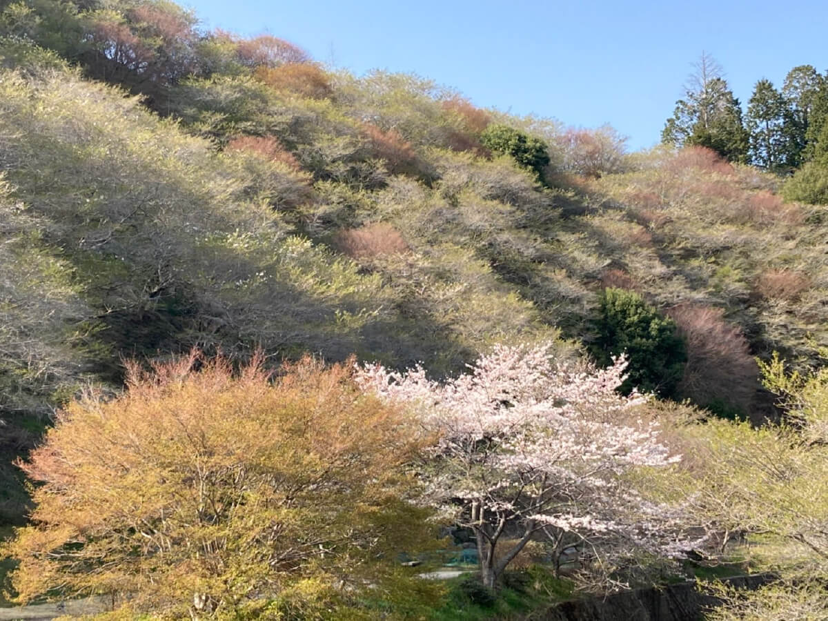落ち着いた風情が漂う