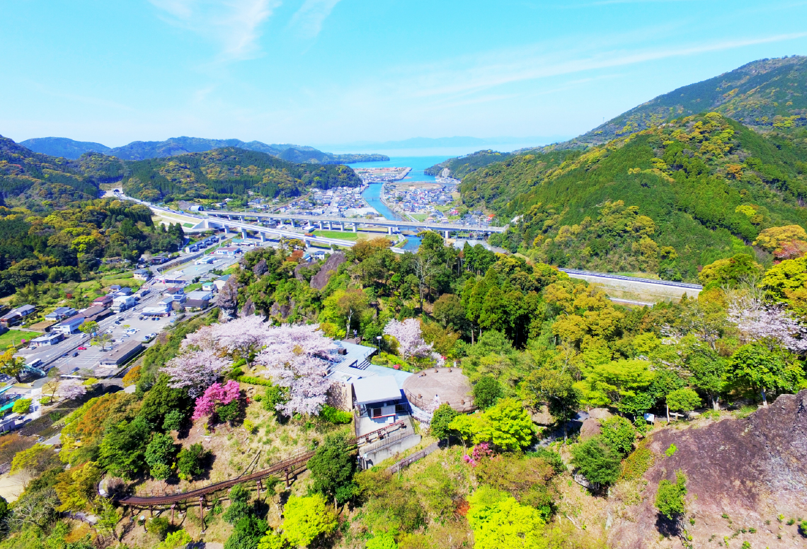 春、展望台から町を見下ろすと桜一色