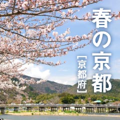 エリアフィーチャー