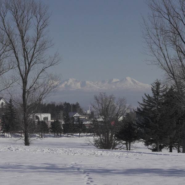 エリアフィーチャー 旭川市 ［北海道］