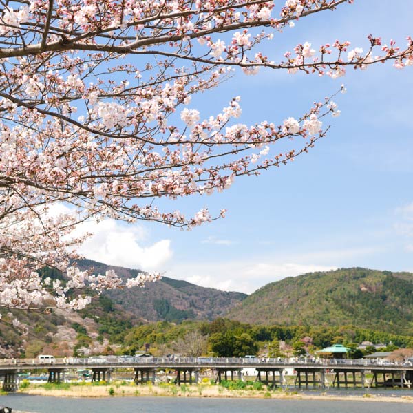 エリアフィーチャー 京都市 ［京都府］