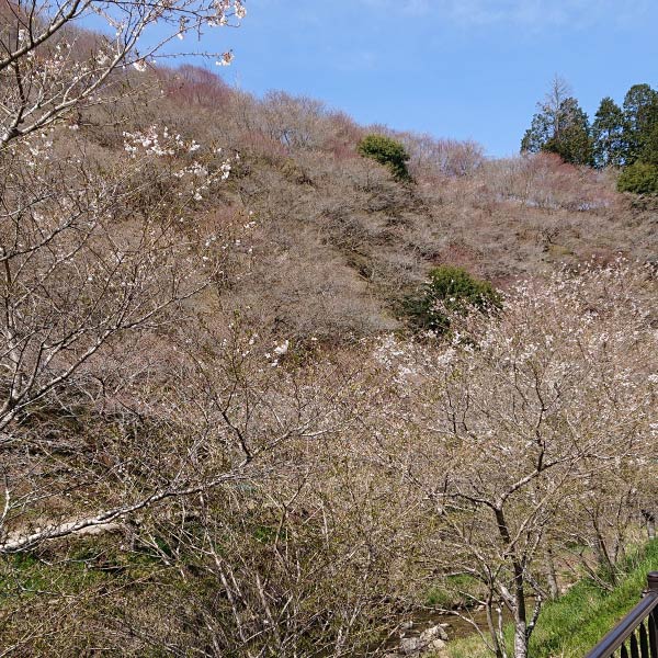 エリアフィーチャー 西三河エリア ［愛知県］
