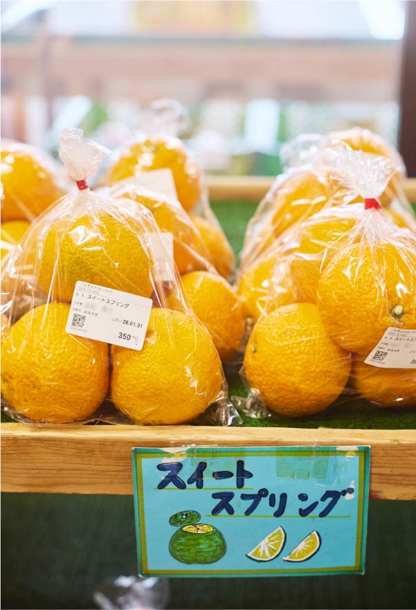 すっきり爽やかな味わいの津奈木町産スイートスプリング