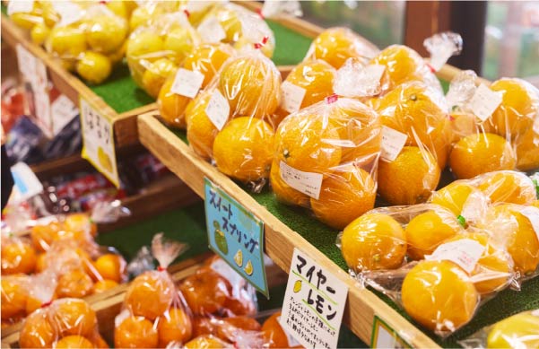 つなぎふれあいの店