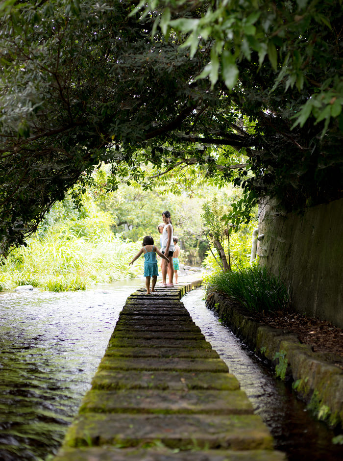 飛び石を渡りながら散策を楽しめる川辺の散策路