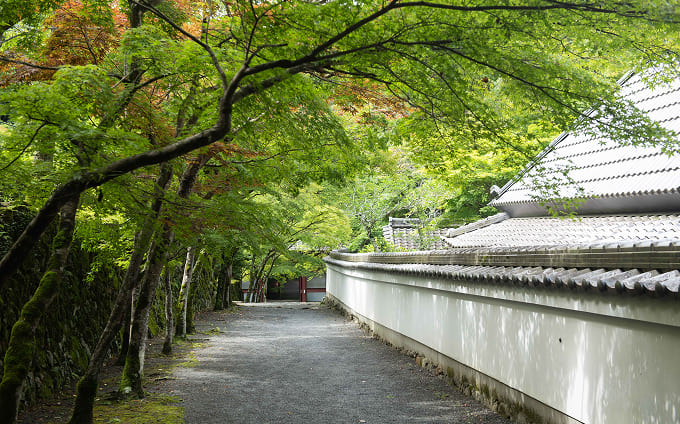 春は新緑が境内を包み、山寺ならではの澄んだ空気に満たされる