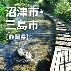 エリアフィーチャー