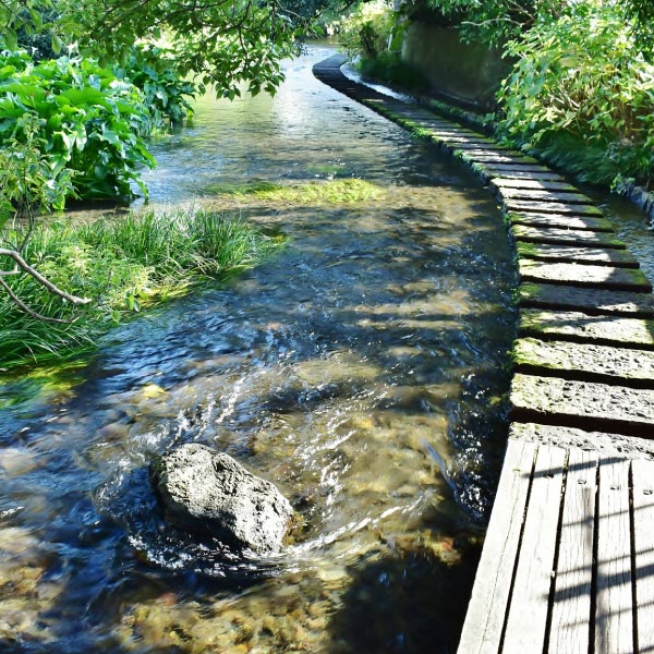 エリアフィーチャー 沼津市・三島市［静岡県］