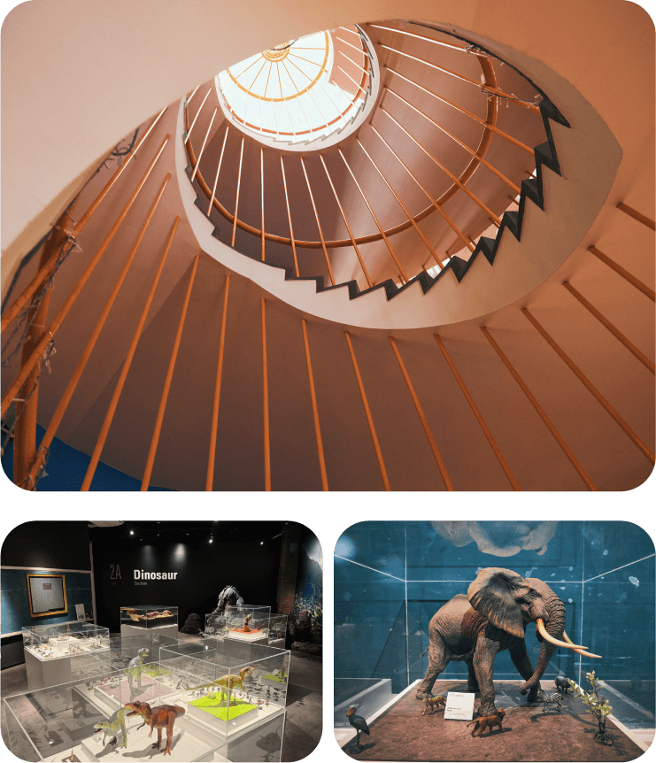 炭ラテ650円、抹茶ラテ650円、ラテ600円。抹茶ラテには香り高い八女の抹茶を使用