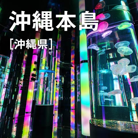 エリアフィーチャー